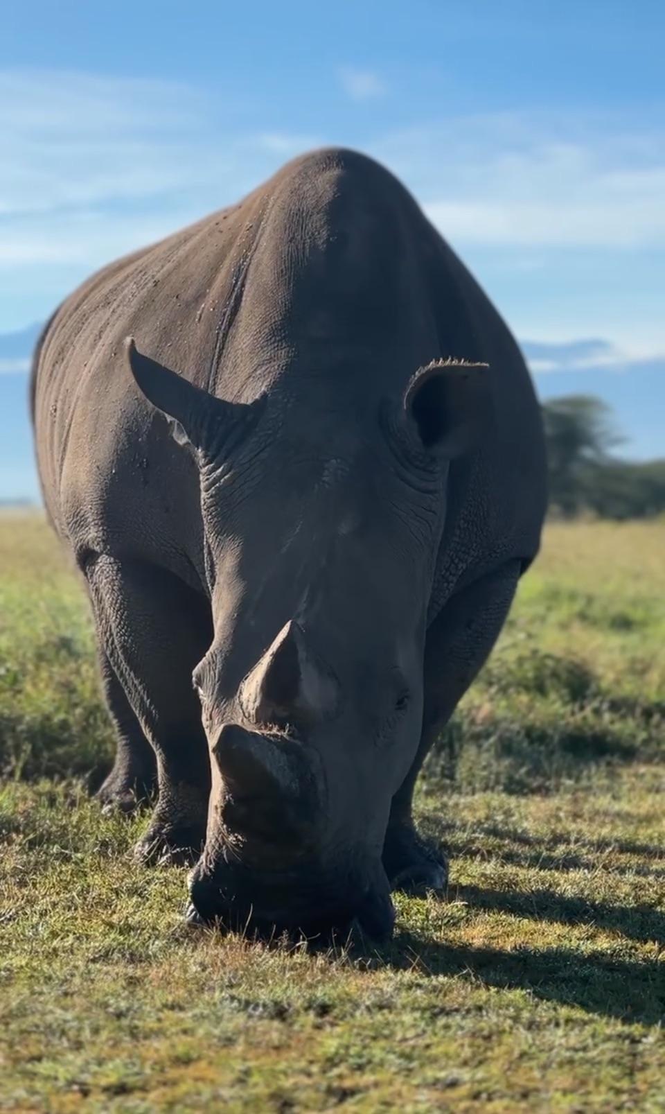 Visit to Rhino Sanctuary